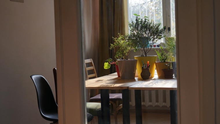 Why Some Places Make You Want to Work