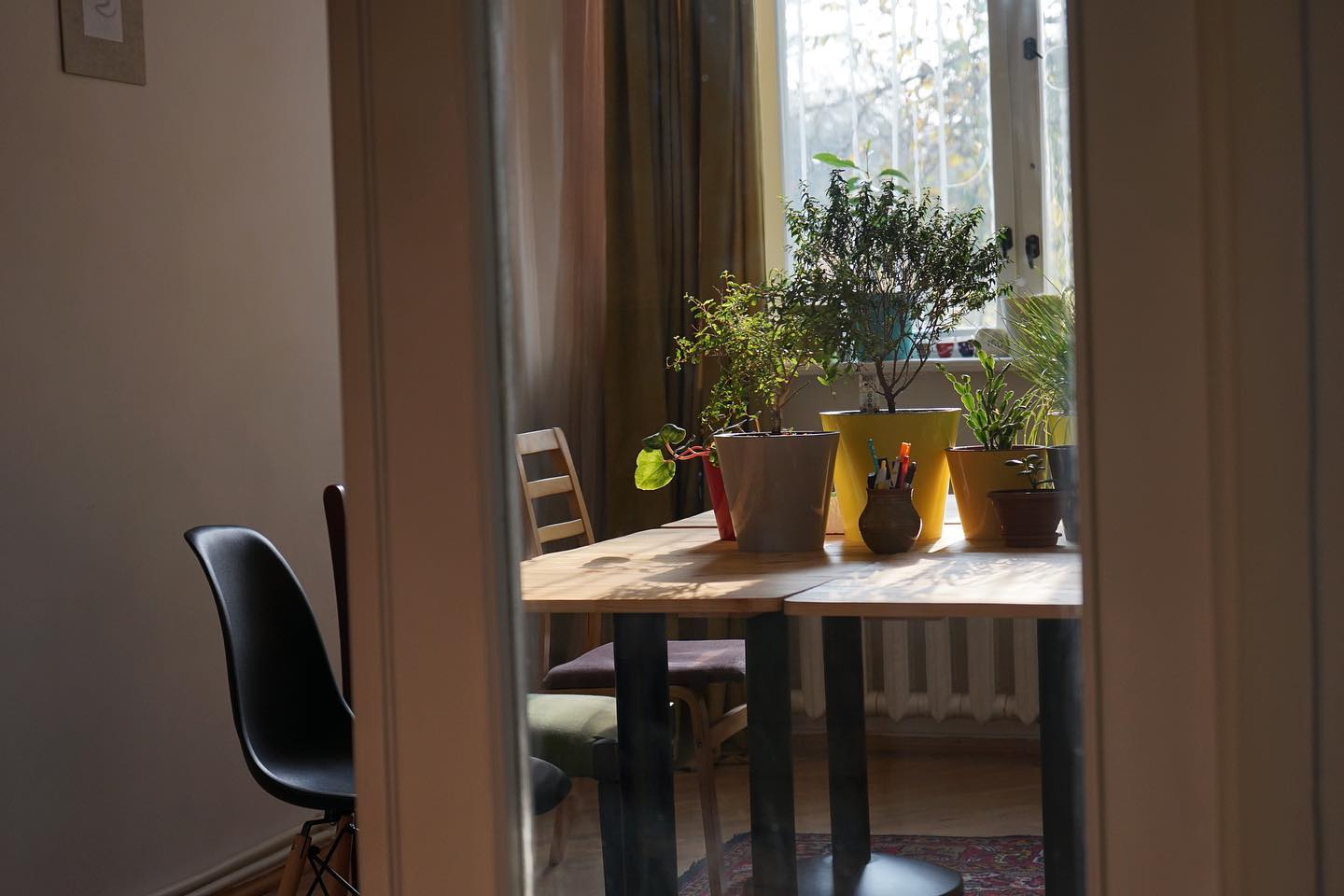 Why Some Places Make You Want to Work